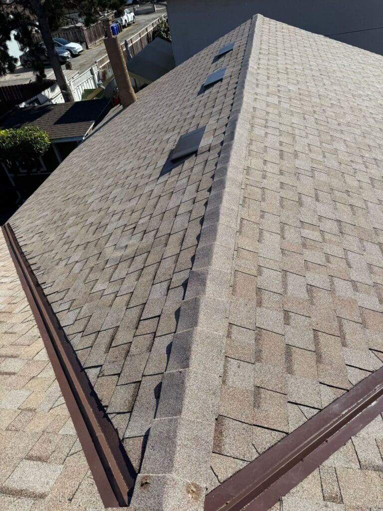 expert roof care